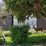 Prazer Da Natureza & Resort Caminha