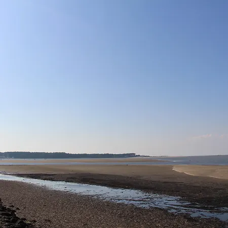 Prazer Da Natureza & Caminha