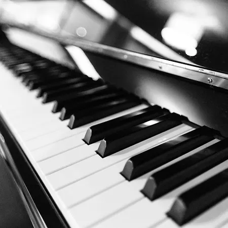 Prazer Da Natureza &