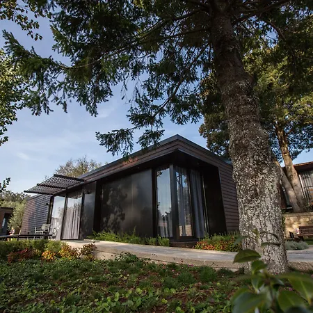 Prazer Da Natureza & Caminha