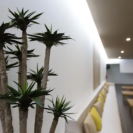 Prazer Da Natureza & Caminha