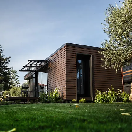 Prazer Da Natureza & Caminha