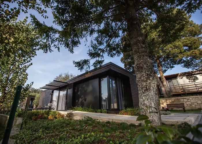 Prazer Da Natureza & كامينيا