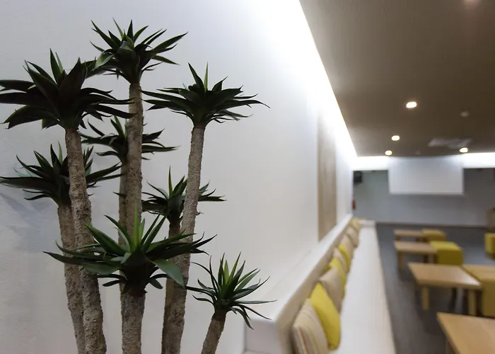 Prazer Da Natureza & Caminha